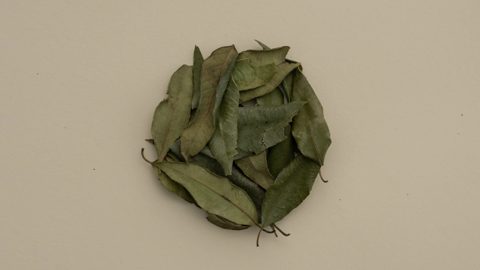 커피대신 허브티 추천